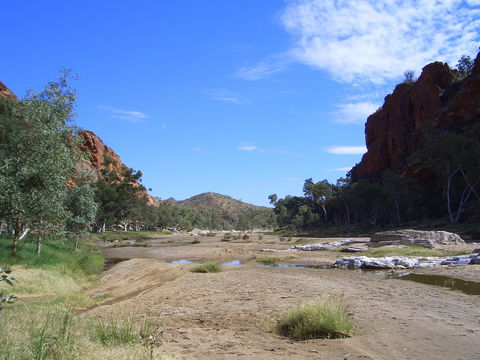Ruby Gap Nature Park - Accommodation Bookings 0