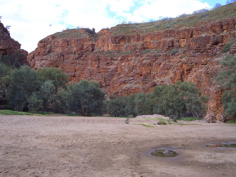 Ruby Gap Nature Park - Accommodation Bookings 1