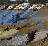 Sculpture Trail at Lake Crackenback Resort and Spa - Accommodation Bookings