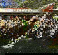Skirmish Ulladulla - Accommodation Bookings