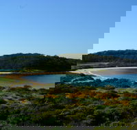 Snorkelling Broulee Island - Accommodation Bookings