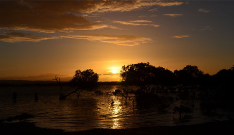 Southend Curtis Island - Accommodation Bookings 0