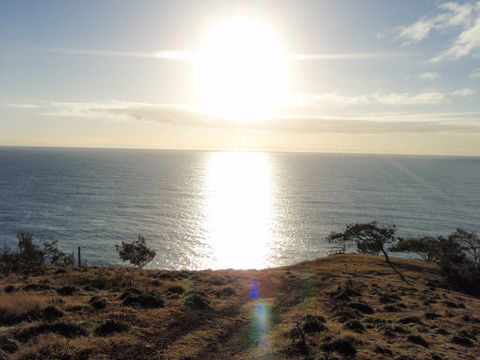 Southend Curtis Island - Accommodation Bookings 1