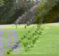 Springwood Country Club - Accommodation Bookings