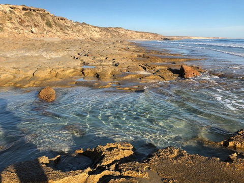 Streaky Bay - Back Beach - Accommodation Bookings 0