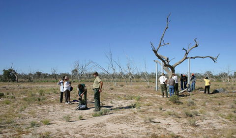 Sturt's Tree Walk - Accommodation Bookings 0