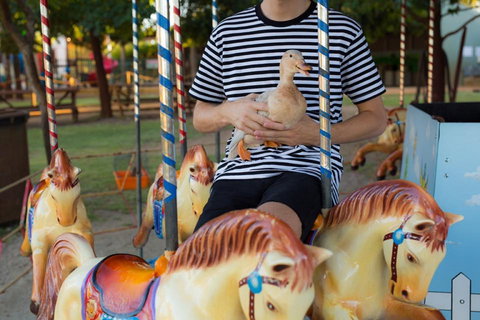 Swan Valley Cuddly Animal Farm - Accommodation Bookings 2