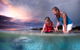 Tangalooma Wild Dolphin Feeding - thumb 1