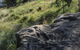 Terramungamine Rock Grooves - thumb 0