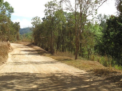The Bloomfield Track - Accommodation Bookings 0