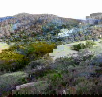 The Bellbird - Accommodation Bookings