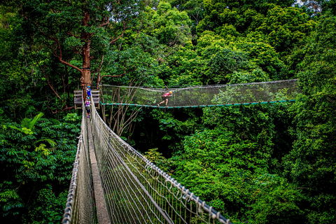 Thunderbird Park ® - Tamborine Mountain, Gold Coast Region - Accommodation Bookings 0