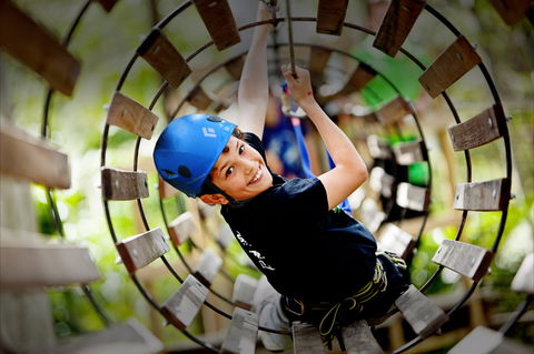 Thunderbird Park ® - Tamborine Mountain, Gold Coast Region - Accommodation Bookings 1