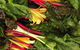 Tomerong Markets - thumb 1