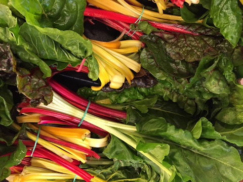 Tomerong Markets - Accommodation Bookings 1