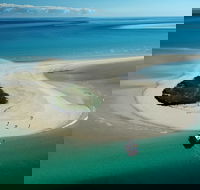 Turtle Discovery - Accommodation Bookings