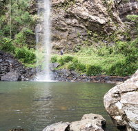 Twin Falls Circuit Springbrook National Park - Accommodation Bookings