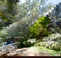 Wadbilliga Road drive - Accommodation Bookings