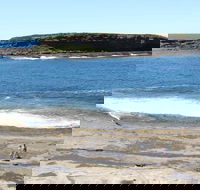 Wasp Head Picnic Area - Accommodation Bookings