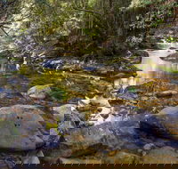 Washpool Walking Track - Accommodation Bookings