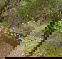 Waterfall Gully - Kings Falls Circuit Walk - Accommodation Bookings