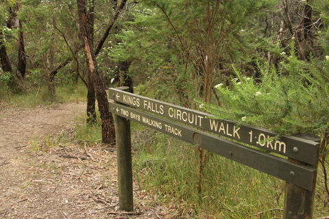 Waterfall Gully - Kings Falls Circuit Walk - Accommodation Bookings 0