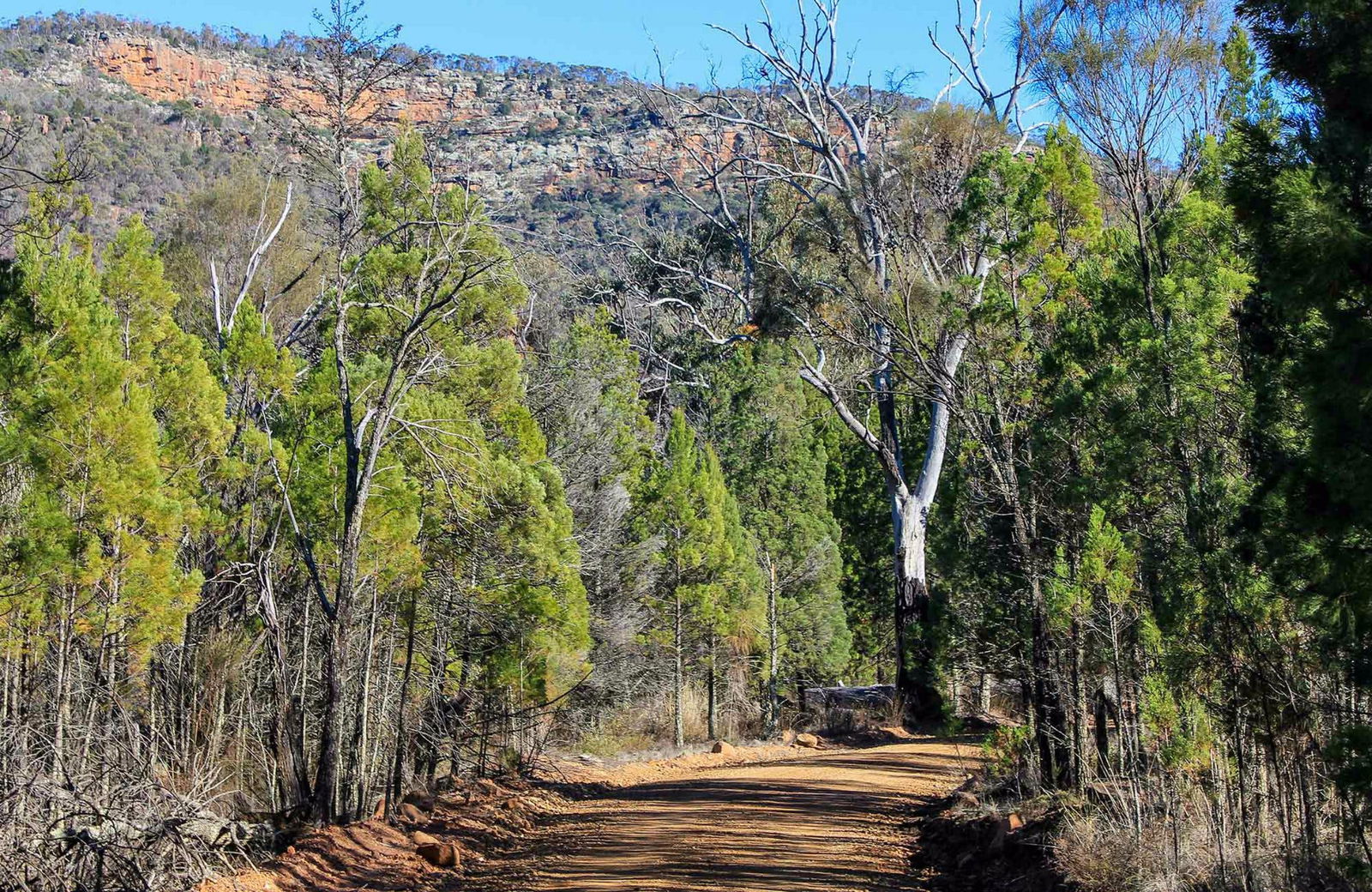  Accommodation Bookings