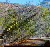 Weddin Gap to Black Spring Loop Trail - Accommodation Bookings