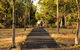 Windmill Walk - thumb 2