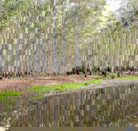 Wonga Wetlands - Accommodation Bookings