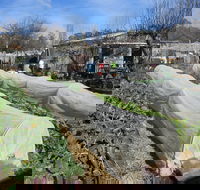Wynlen House Tour a Unique Urban Regenerative Farm and Market Garden - Accommodation Bookings