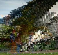 Aboriginal Heritage Walk - Accommodation Bookings