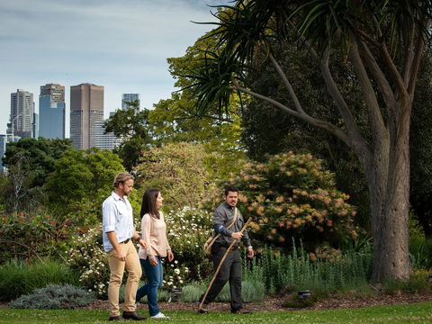 Aboriginal Heritage Walk - Accommodation Bookings 0