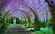 Alowyn Gardens And Nursery - thumb 0