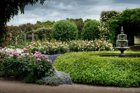 Alowyn Gardens And Nursery - Accommodation Bookings 1