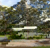 Back Creek picnic area - Accommodation Bookings