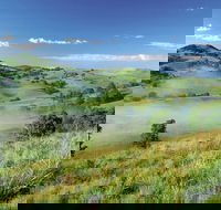 Bega - Accommodation Bookings
