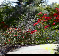 Benalla Botanical Gardens - Accommodation Bookings