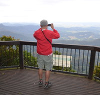 Best of All lookout track Springbrook National Park - Accommodation Bookings