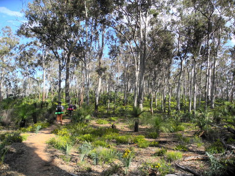 Bibbulmun Track - Accommodation Bookings 1