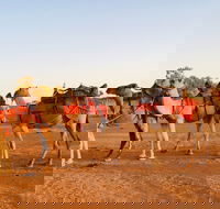 Broken Hill Camels