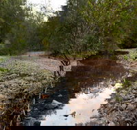Budawang National Park - Accommodation Bookings