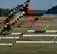 Camden Bicentennial Equestrian Park - Accommodation Bookings