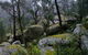 Cathedral Rock Track - thumb 0