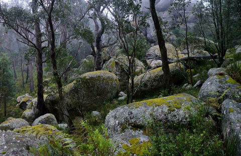 Cathedral Rock Track - Accommodation Bookings 0
