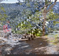 Caves circuit Lamington National Park - Accommodation Bookings