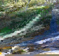Charles Darwin walk - Accommodation Bookings