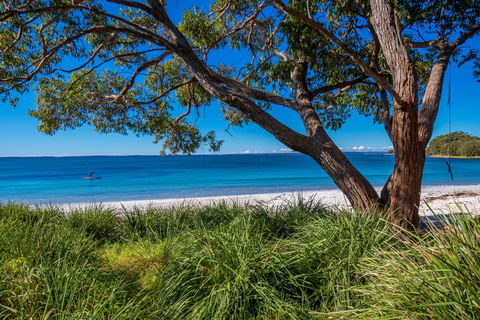 Collingwood Beach - Accommodation Bookings 0