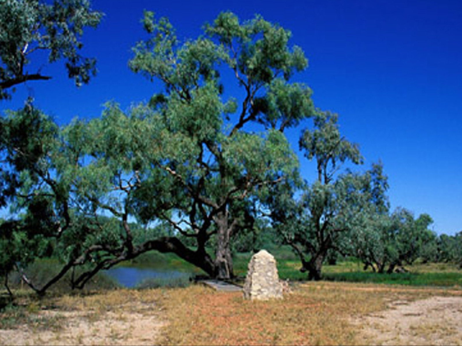 Comet QLD Accommodation Bookings