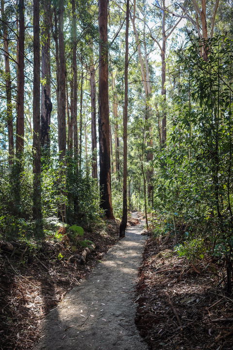 Coopernook Forest HQ - Accommodation Bookings 1